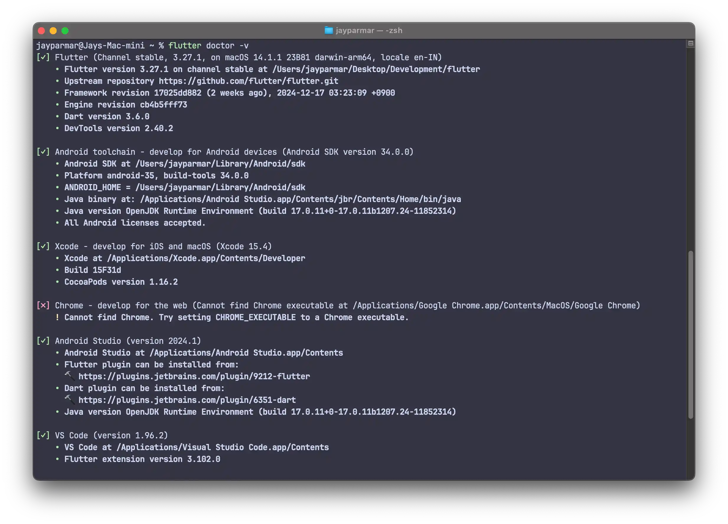 Flutter Doctor Output